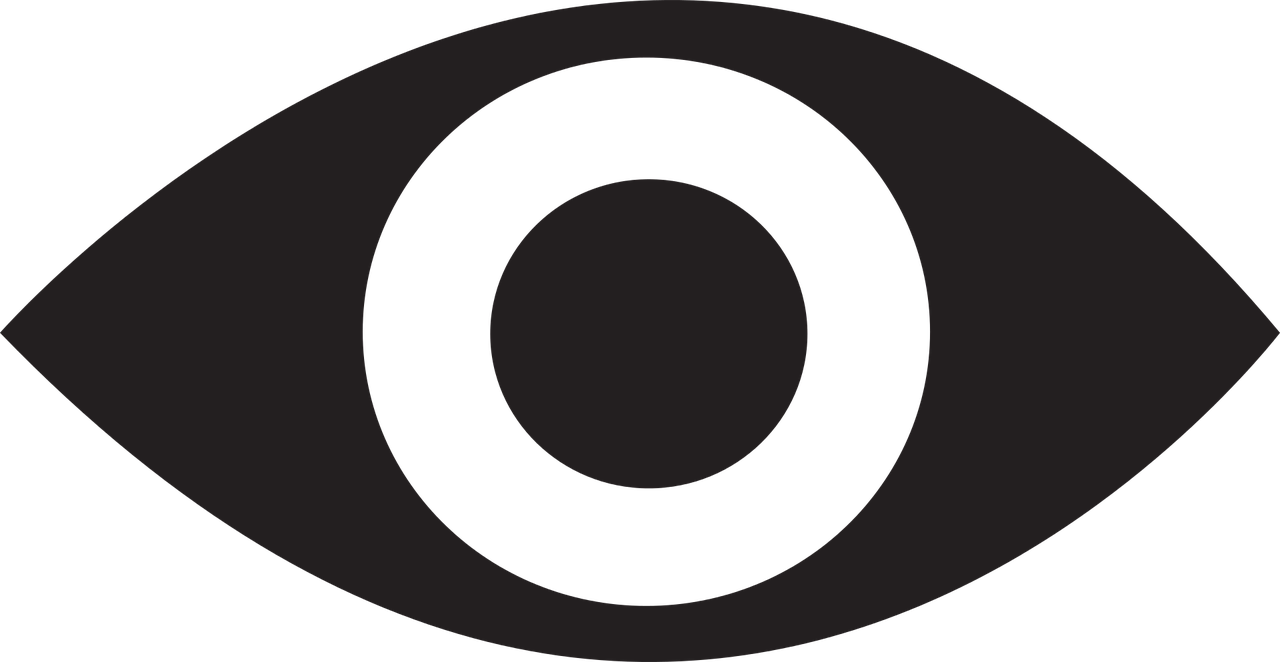eye, icon, symbol-1915455.jpg